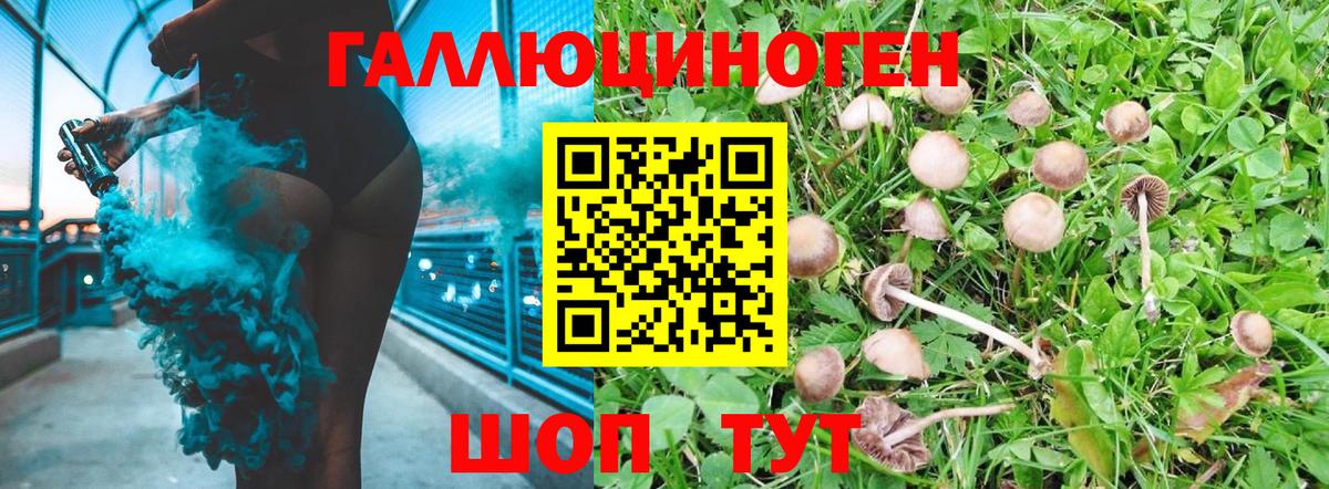 Каменск-Шахтинский  Галлюциногенные грибы прущие грибы  Вход с VPN 