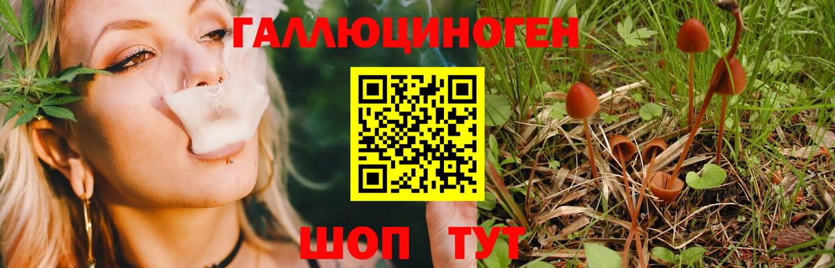 Галлюциногенные грибы Magic Shrooms Каменск-Шахтинский